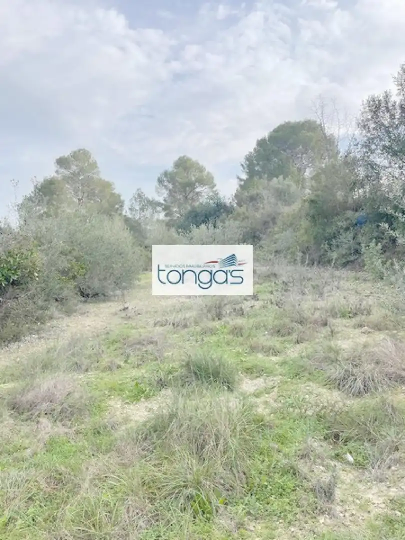 Terreny residencial en venda a Xàtiva, imagen 8