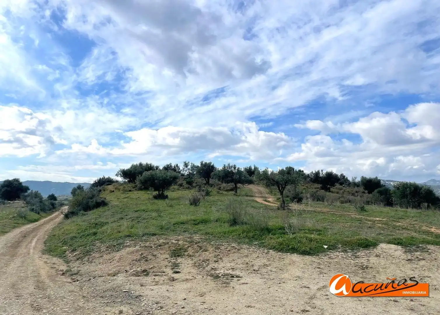 Rustikales Grundstück zum Verkauf in Cortijo Vílches, imagen 16