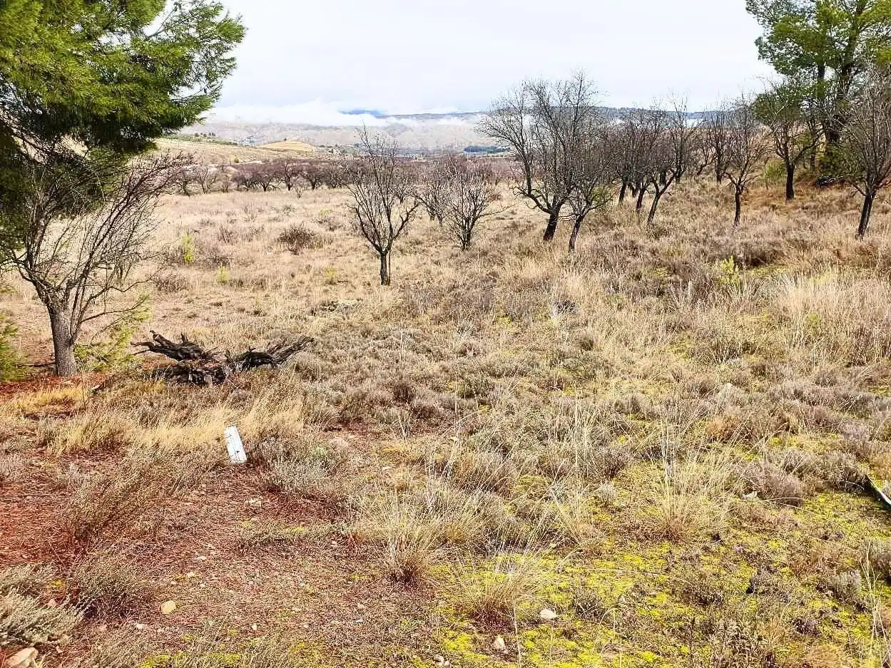 Terreno en venta en Maluenda