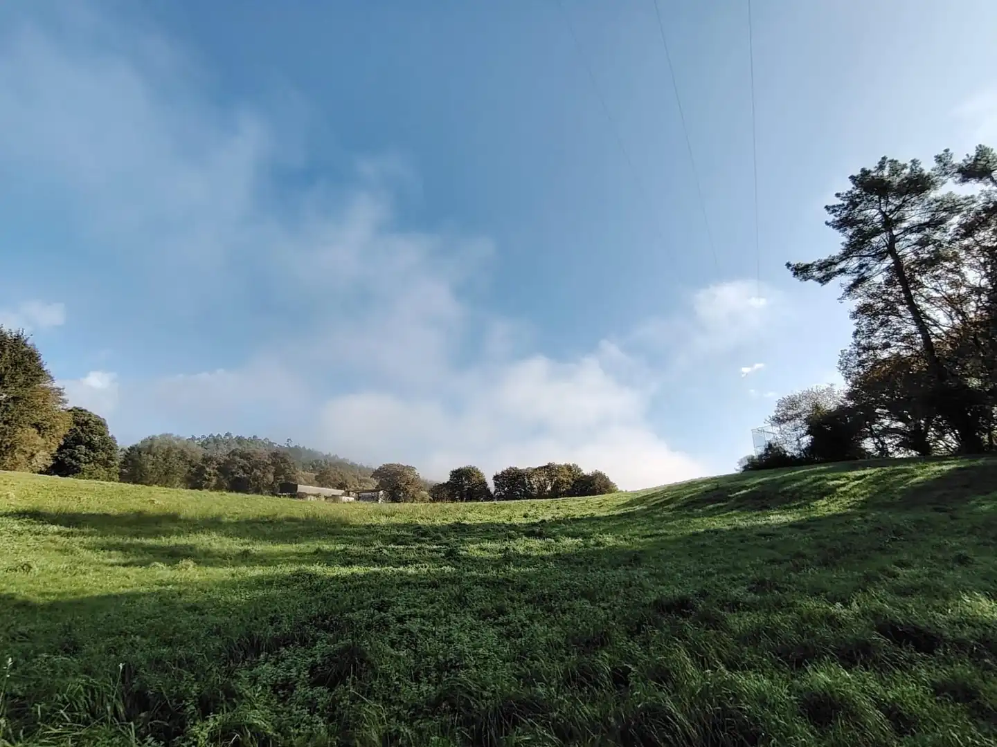 Country homes for sale in Negreira