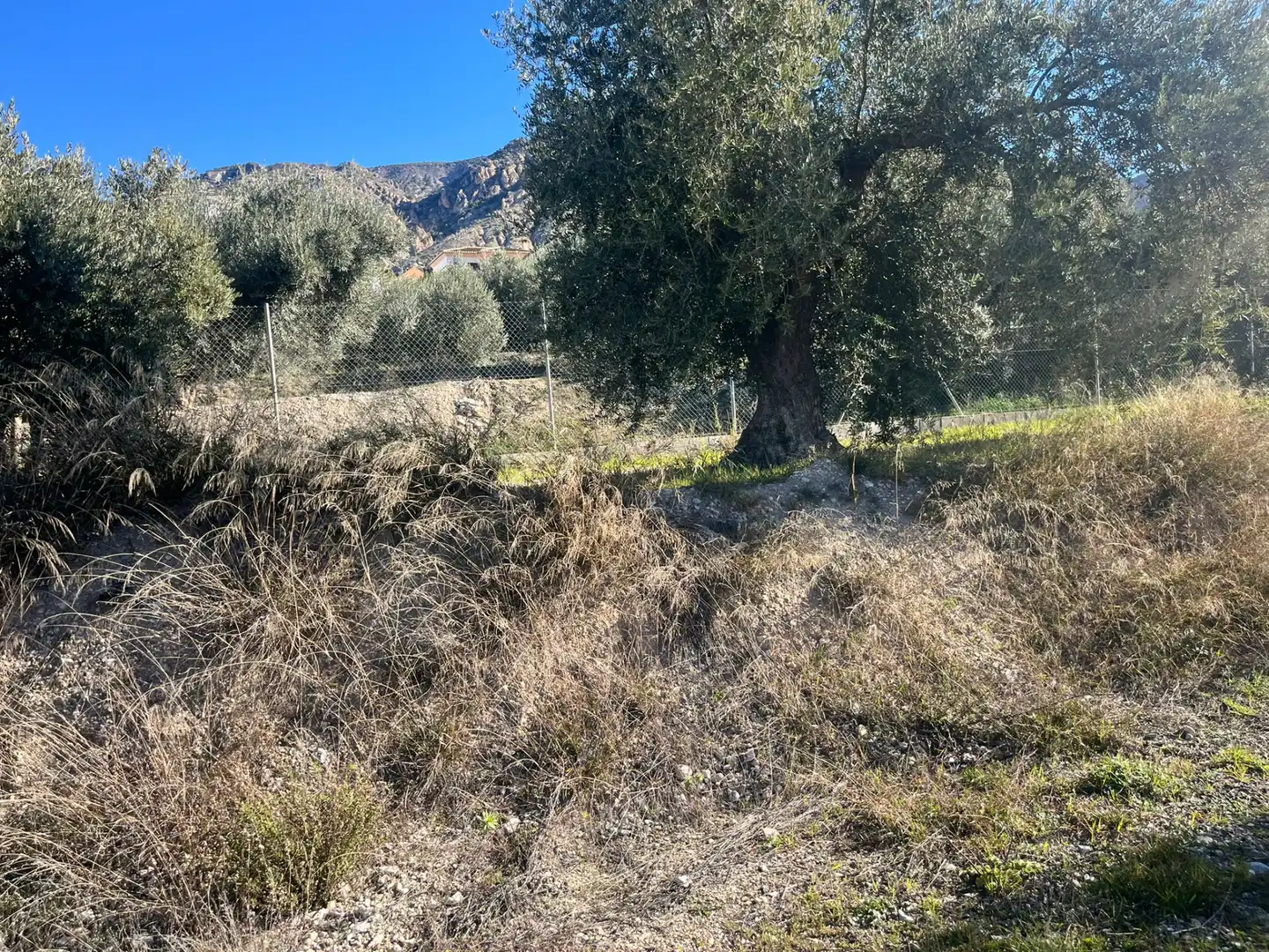 Rural land for sale in Calle Jose Saramago, imagen 11