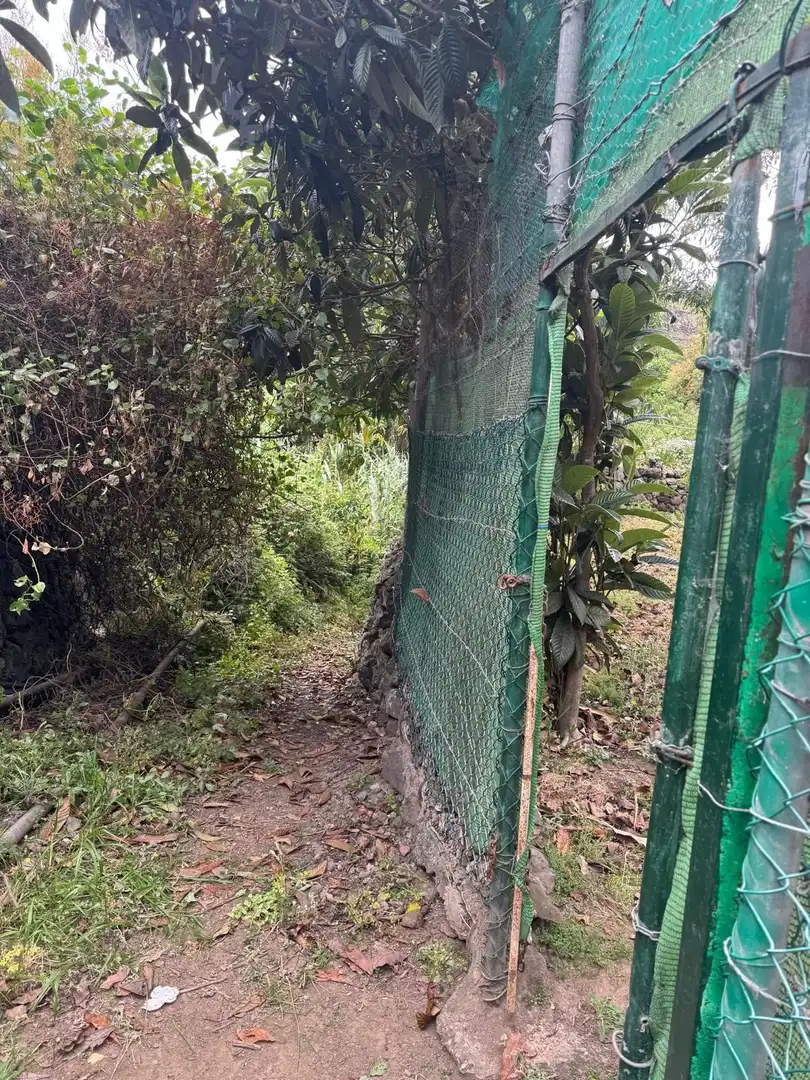 Terreny en venda en Icod de los Vinos
