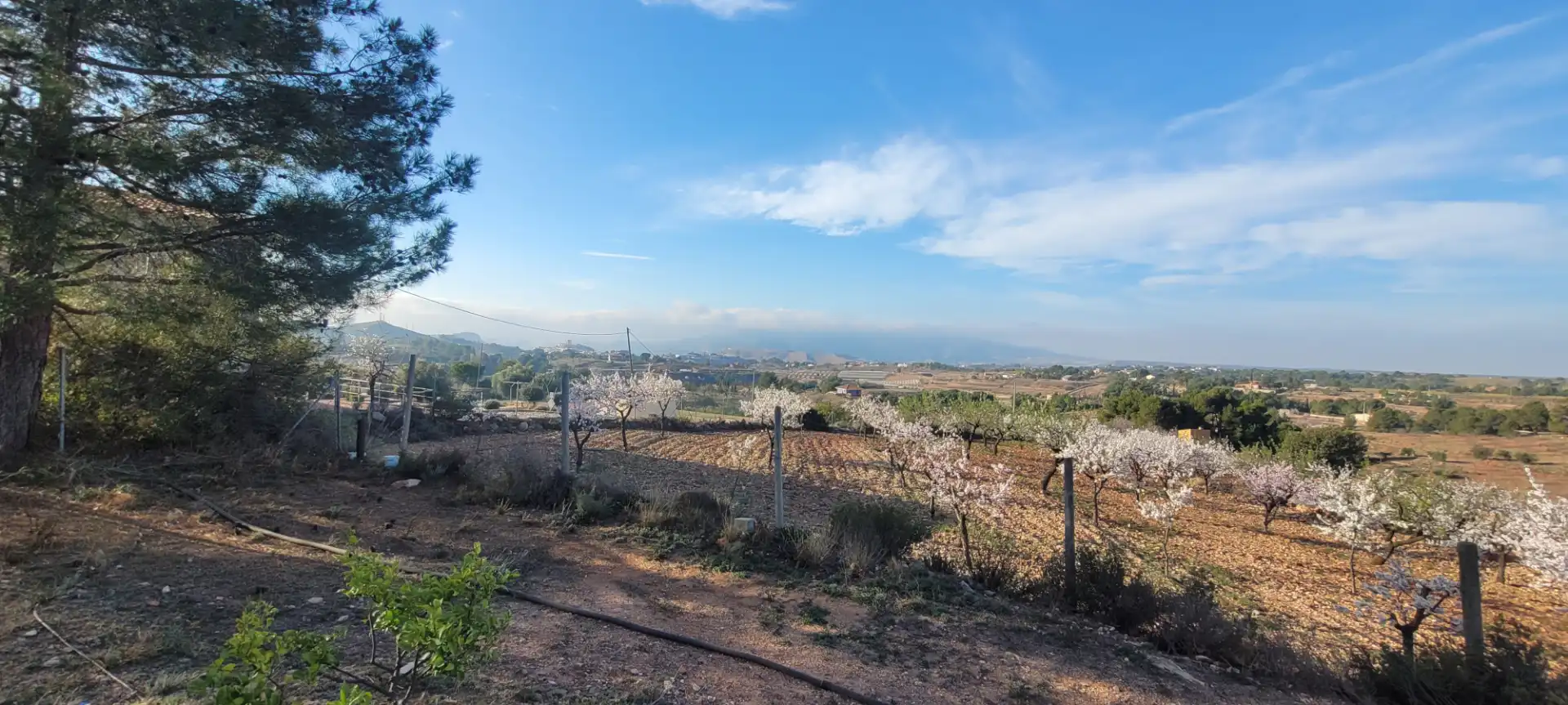 Villa con piscina in vendita a Totana, imagen 26