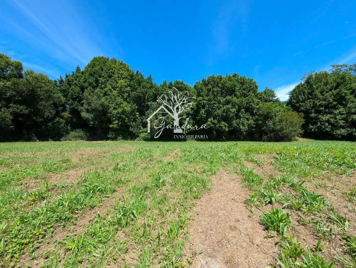 Terrenos y solares en venta en Sedes - Pedroso - Doso, imagen 5