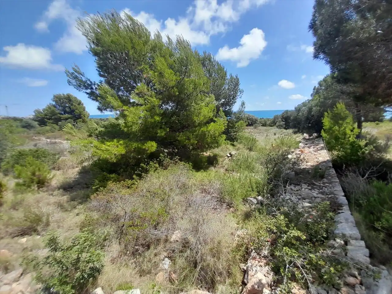Terreno rustico in vendita a Costa Sur