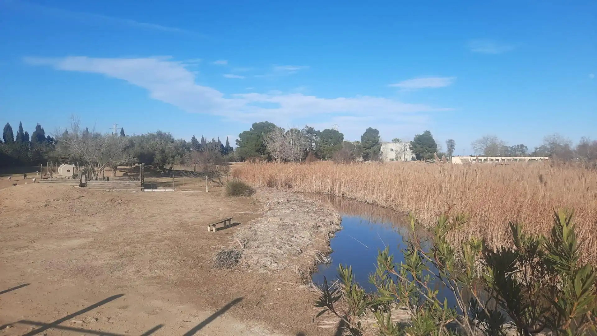 Maison rustique à vendre à Deltebre, imagen 19