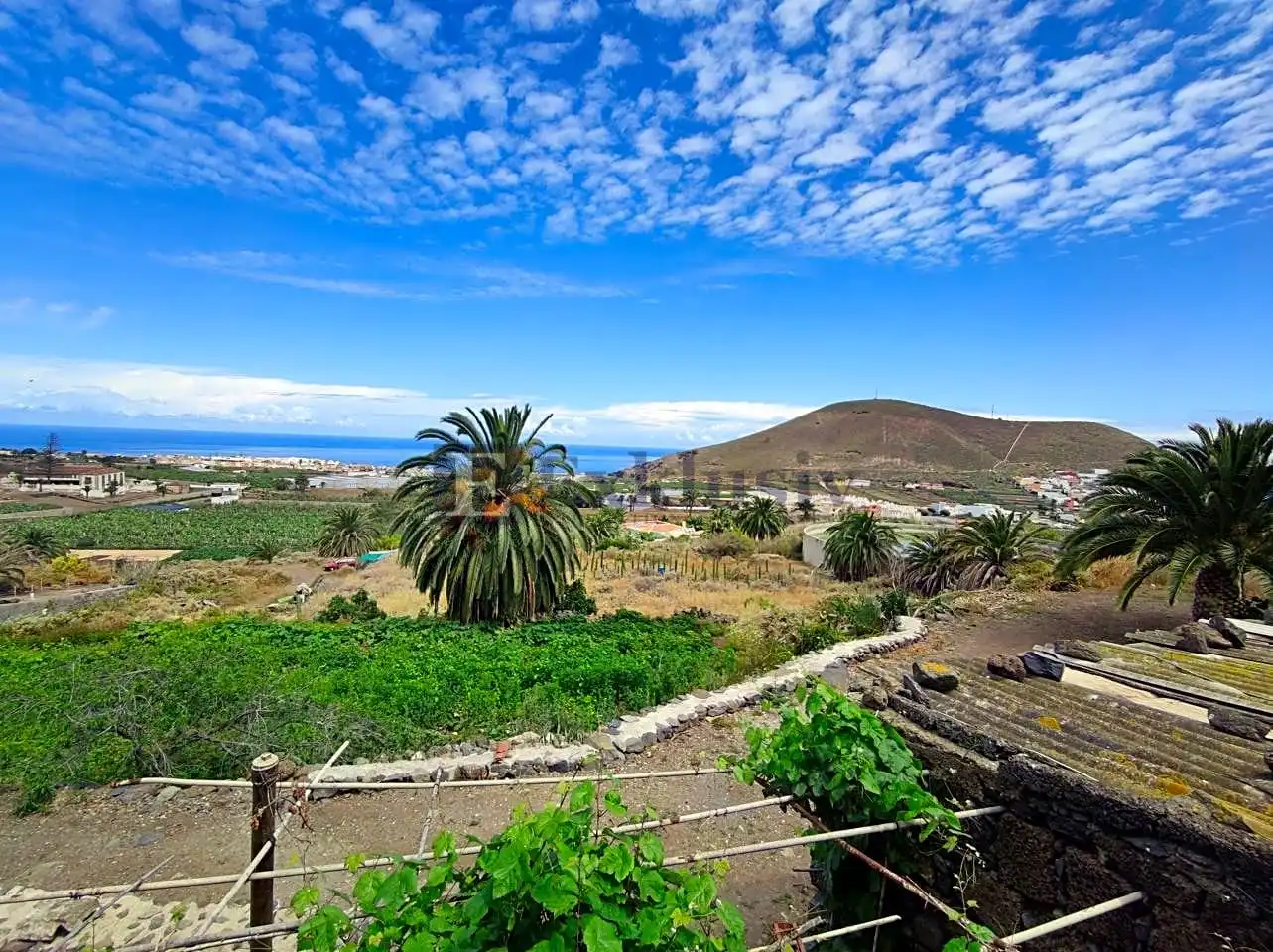 Country homes for sale in Buenavista del Norte