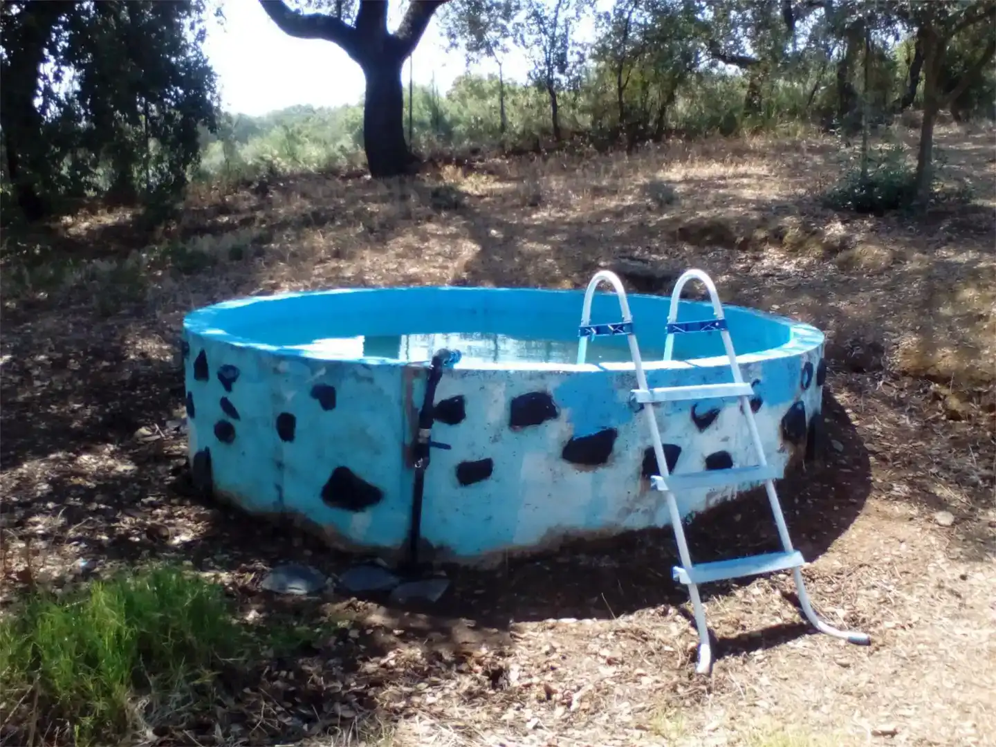 Piscina de Casa adosada de lloguer en La Codosera amb Jardí privat, Piscina i Moblat