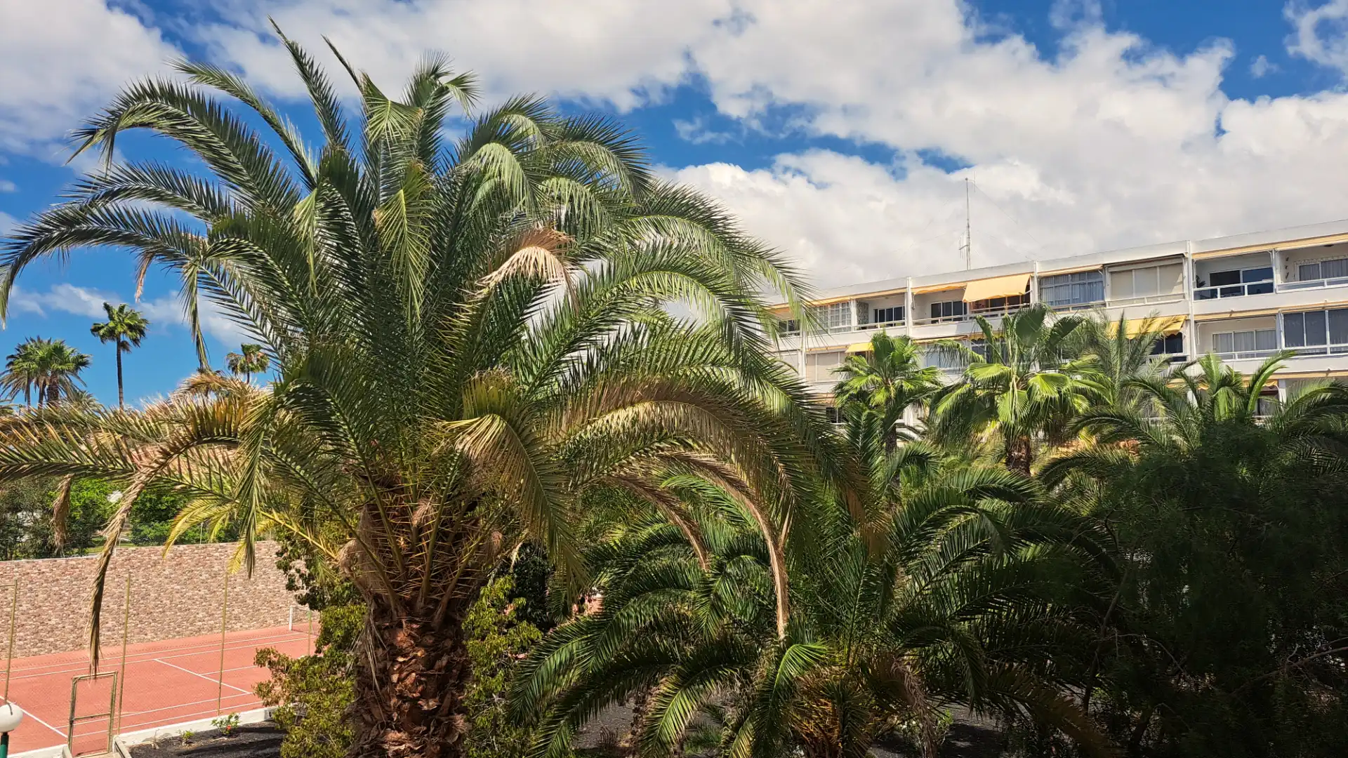 Exterior view of Flat for sale in San Bartolomé de Tirajana  with Balcony and Community pool