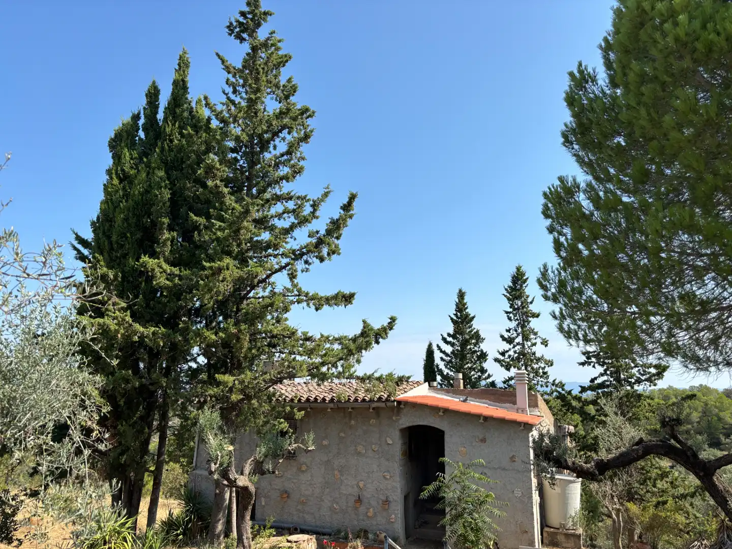 Rural land for sale in Carrer de la Muntanya, imagen 46