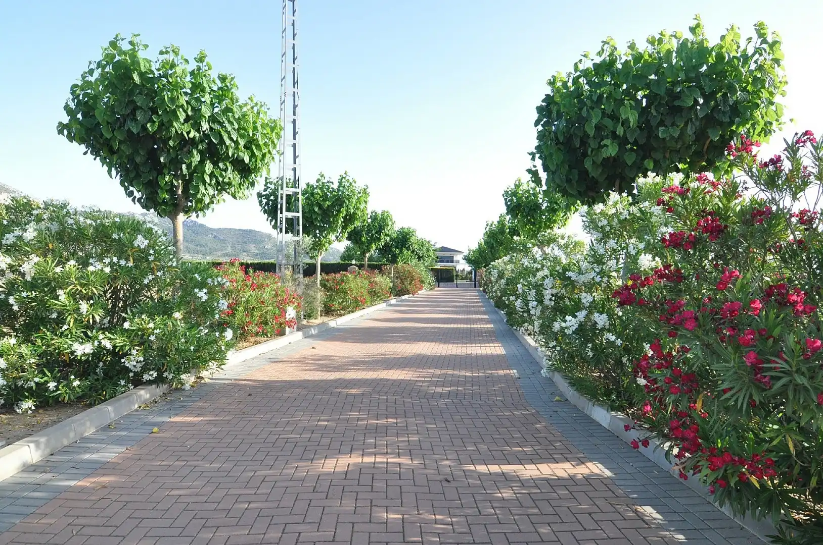 Vista exterior de Casa o chalet en venta en Villena