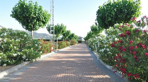 Foto 4 de Casa o chalet en venta en La Paz, Villena