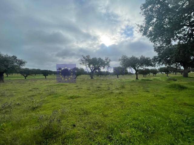 Casa-chalet en Venta en Portaje