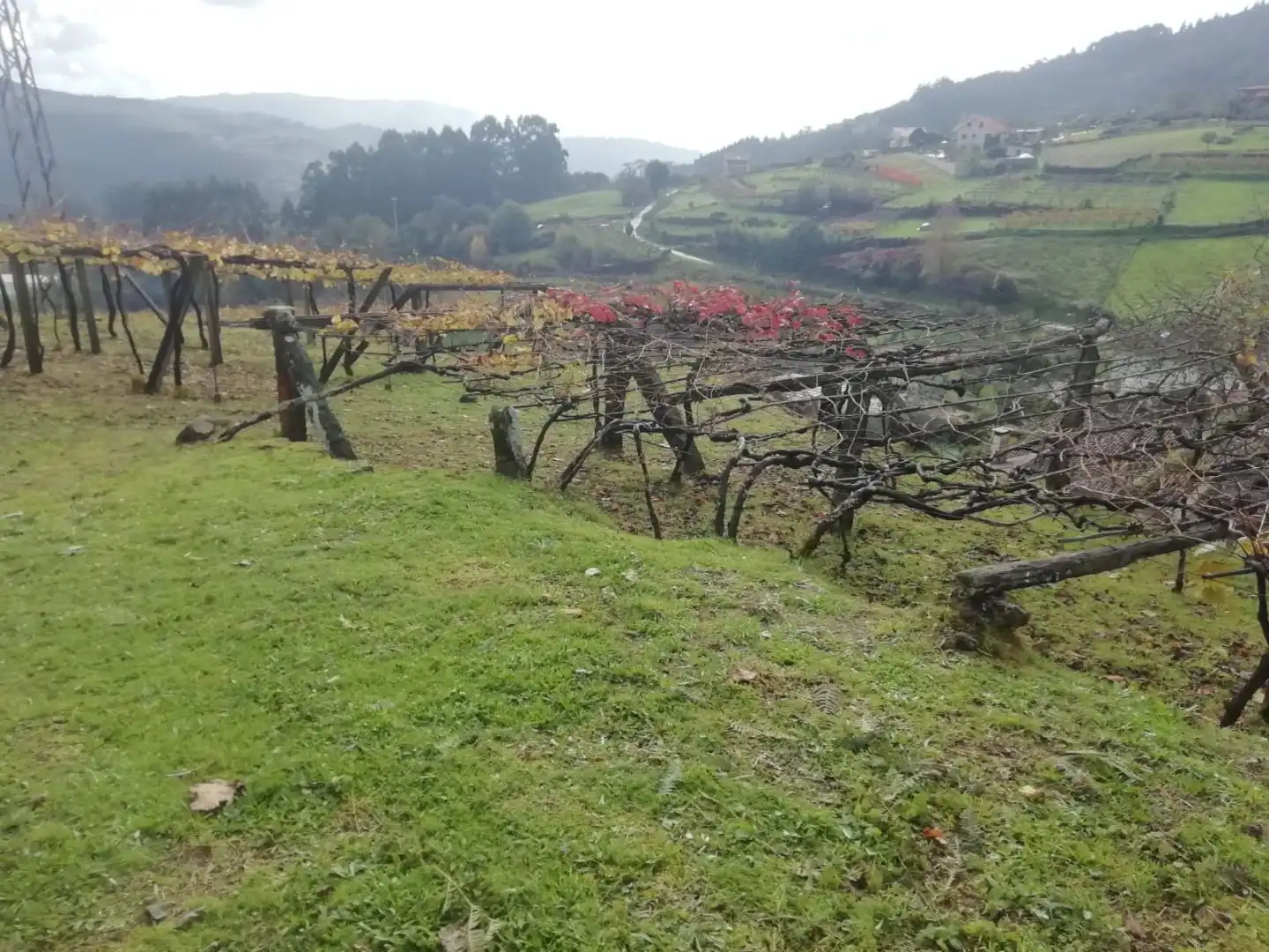 Terreno en venta en Campo Lameiro, Pontevedra