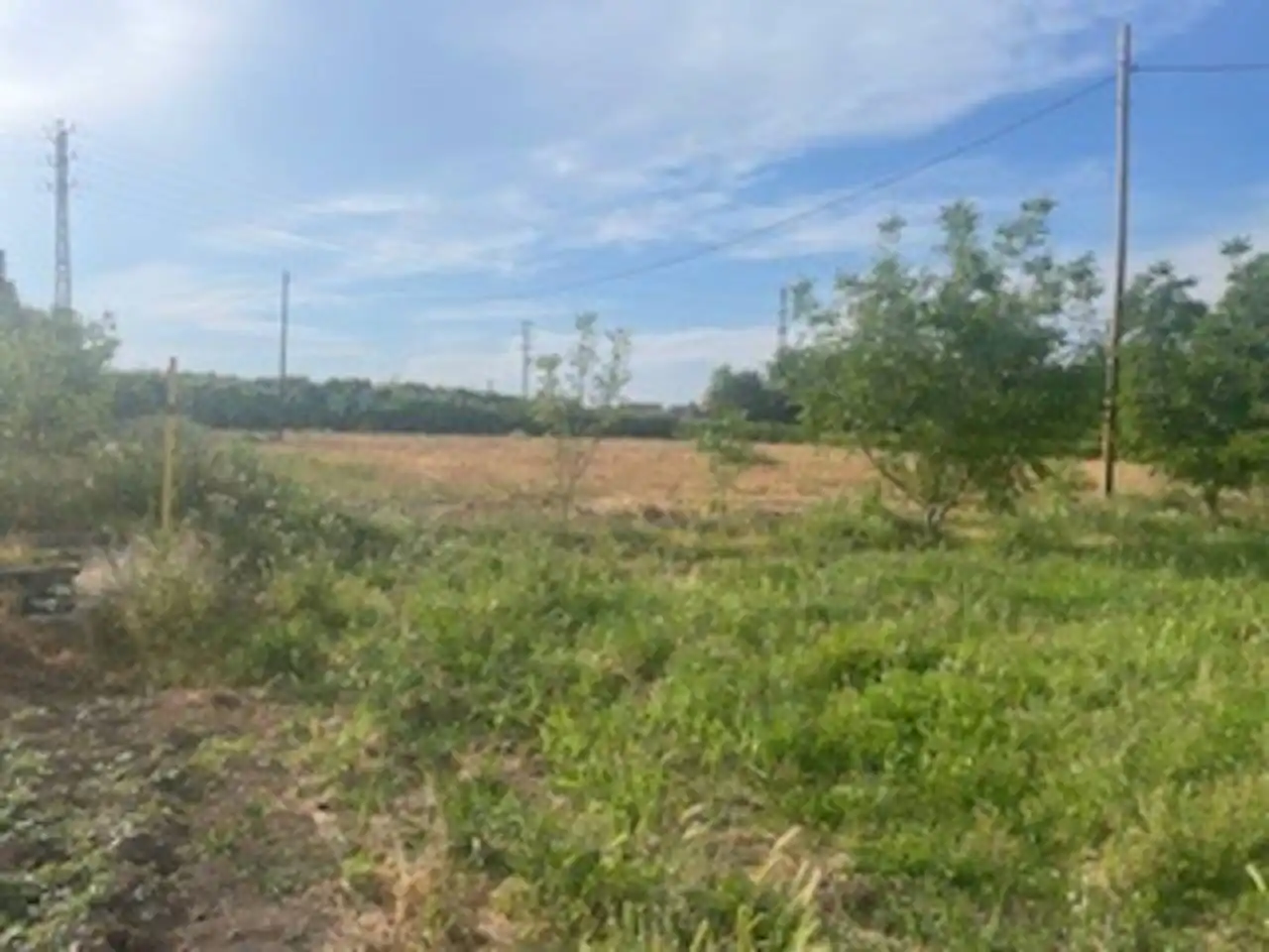 Casa o xalet en venda en Lleida amb Calefacció, Jardí privat i Piscina