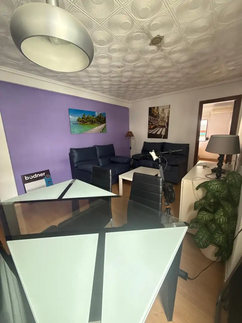 Sala d'estar de Pis de lloguer en Valencia amb Aire condicionat, Parquet i Moblat