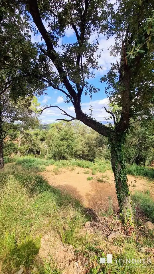 Lands and plots for sale in El Racó - Sant Feliu del Racó, imagen 4