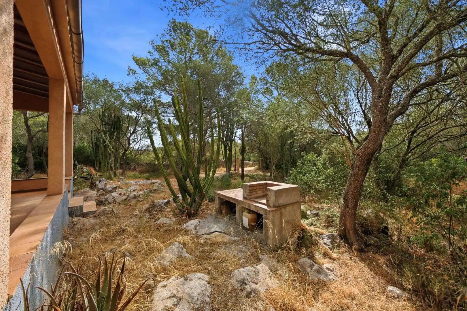 Jardí de Finca rústica en venda en Petra amb Jardí privat, Terrassa i Traster