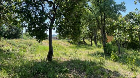 Venta parcela en Urbanización Mas Llunes., immagine 4