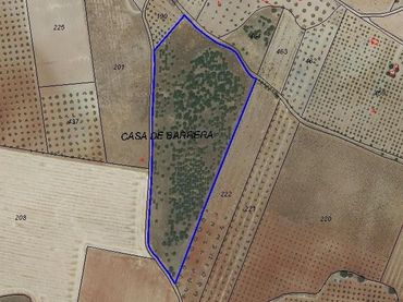 Rustikales Grundstück zum Verkauf in Valdepeñas