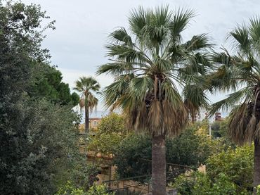 Terreno residenziale in vendita a Centre