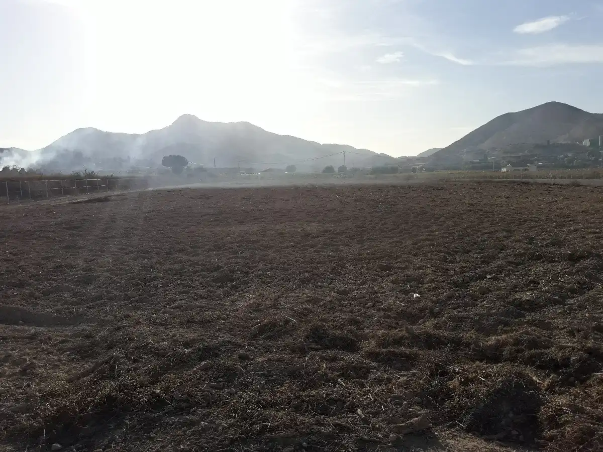 Terreno rústico en venta en Aspe Centro, imagen 3