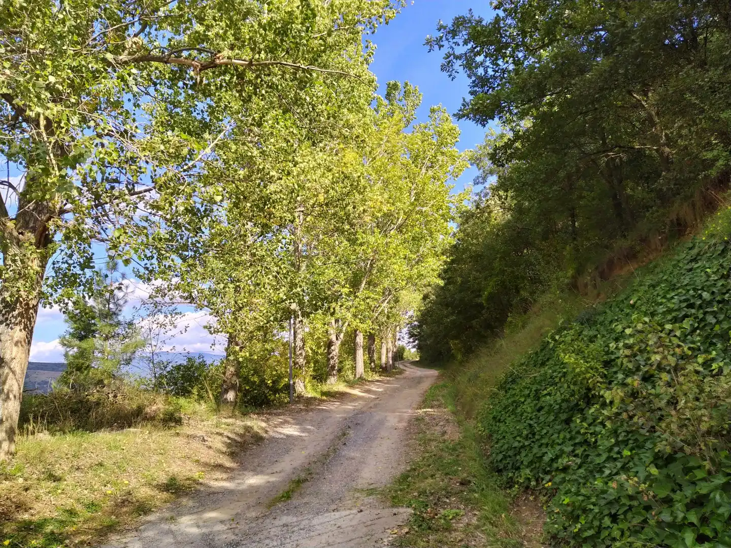 Casa en venda a Ribera d'Urgellet, imagen 23
