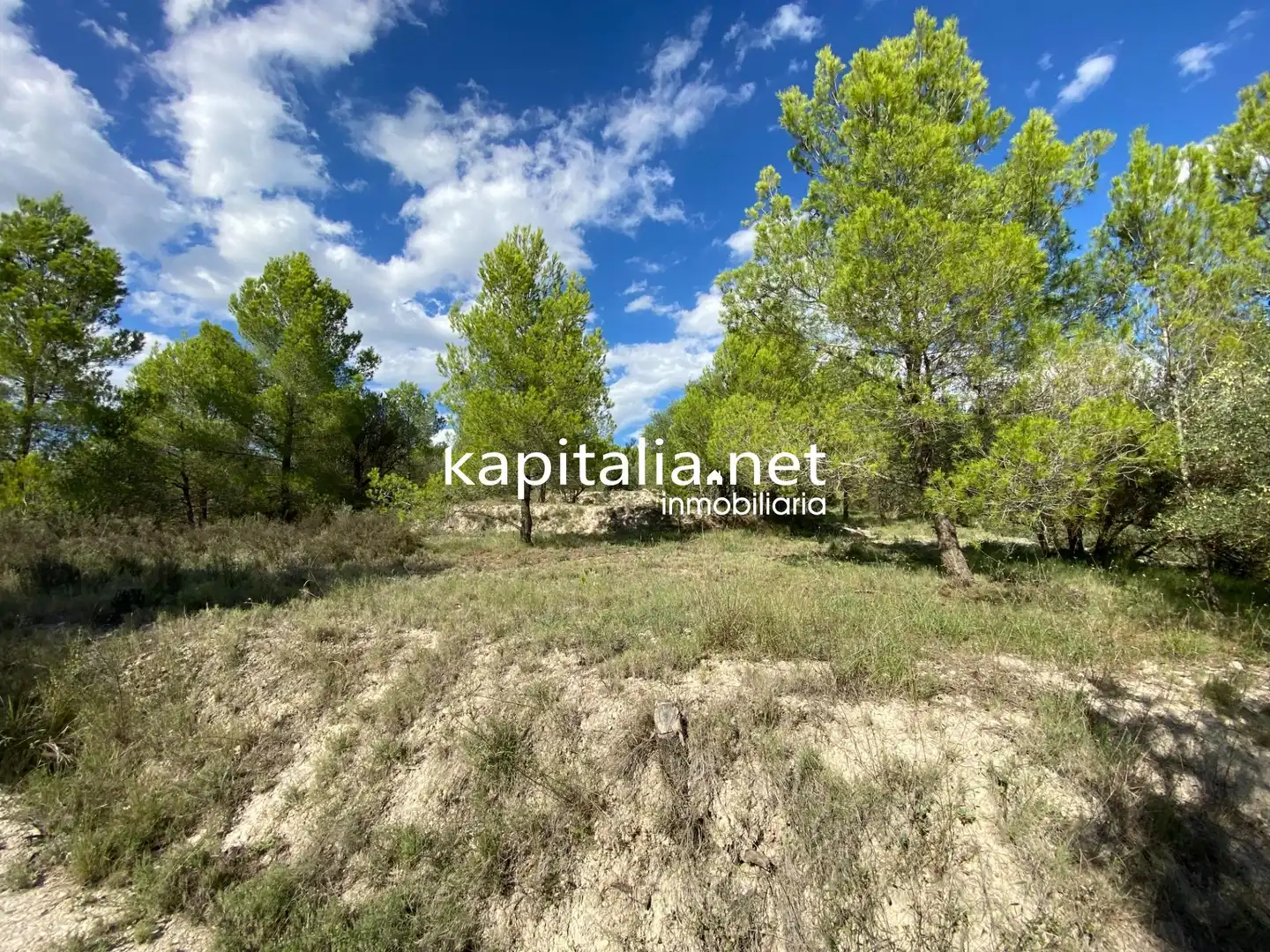 Terreno en venta en Millena