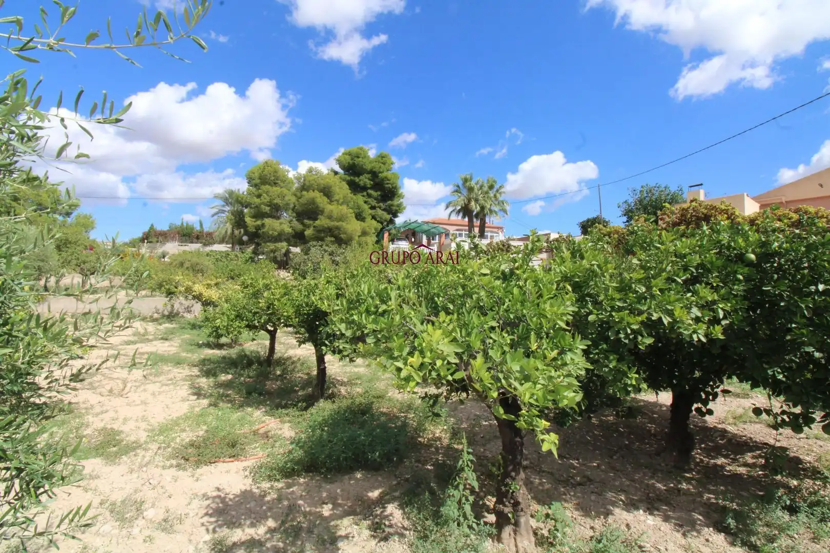 Casa o xalet en venda en Alicante / Alacant amb Aire condicionat, Calefacció i Jardí privat