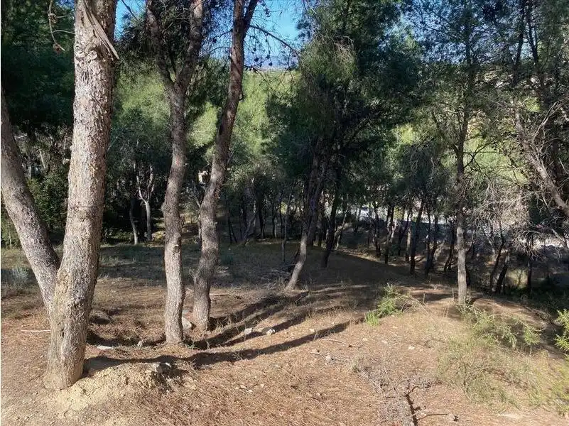 Residencial en venda en El Bosque  