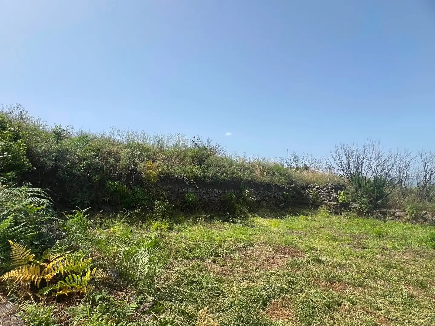 Terreno rústico en venta en Carretera Nueva Corujera, imagen 20