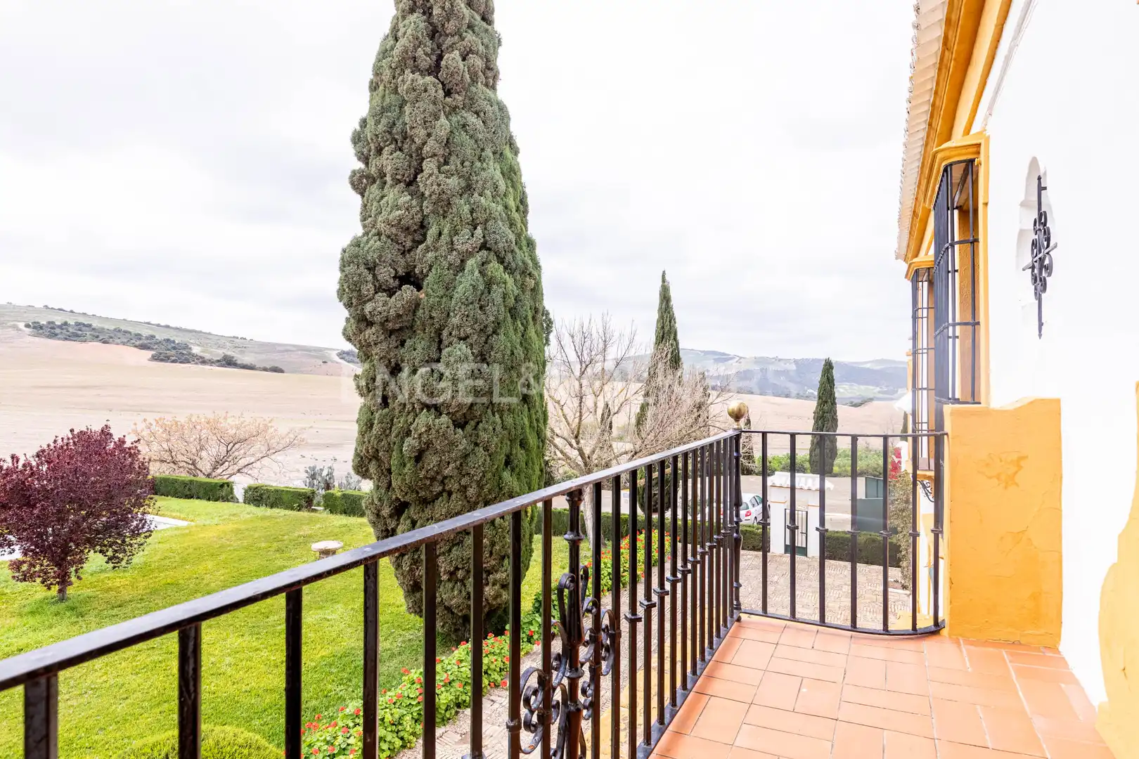 Vista exterior de Casa o chalet en venta en La Puebla de Cazalla con Calefacción, Jardín privado y Terraza