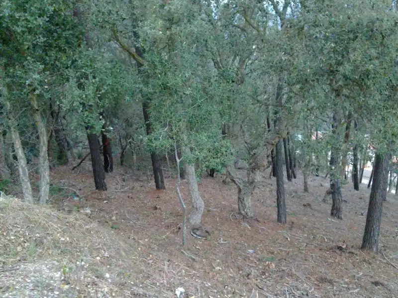 Lands and plots for sale in Serra Brava