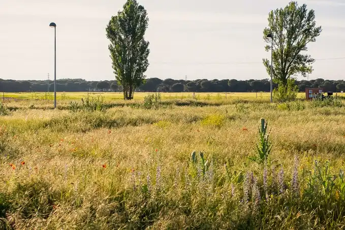 Terreni e lotti in vendita a C/ Río Guadalquivir, imagen 9