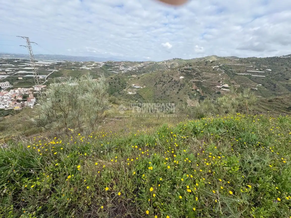 Terreny rústic en venda a Algarrobo pueblo, imagen 12