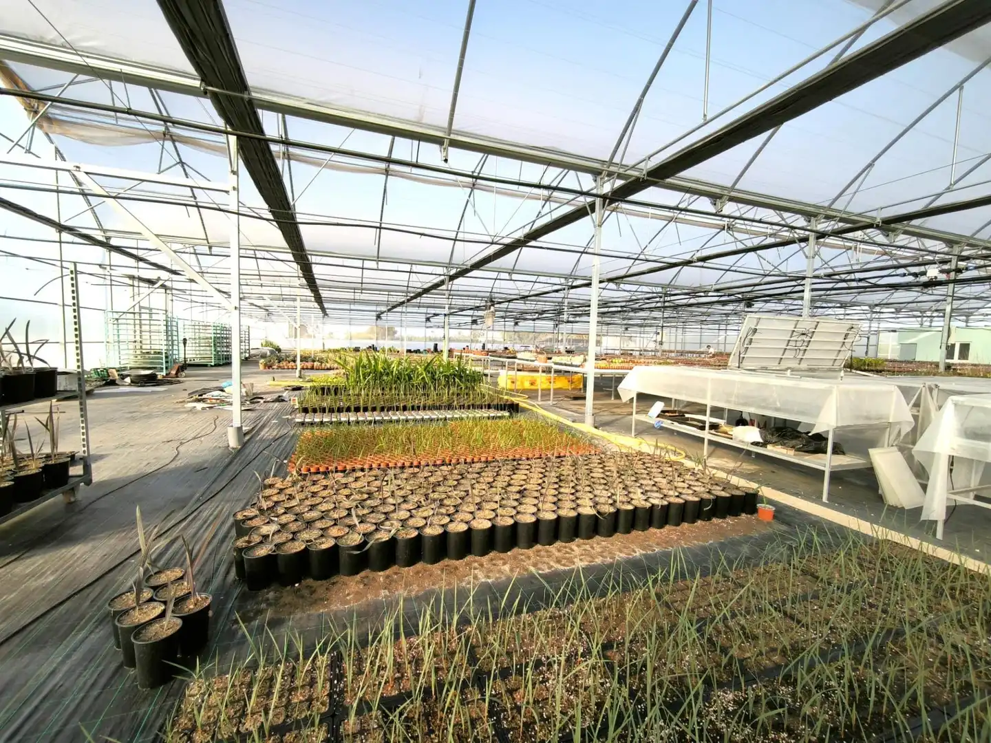 Garten von Grundstücke zum Verkauf in Elche / Elx