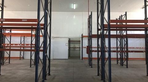 Foto 3 von Fabrikhallen zur Miete in El Chorrillo - San Isidro  - Llano Blanco, El Rosario