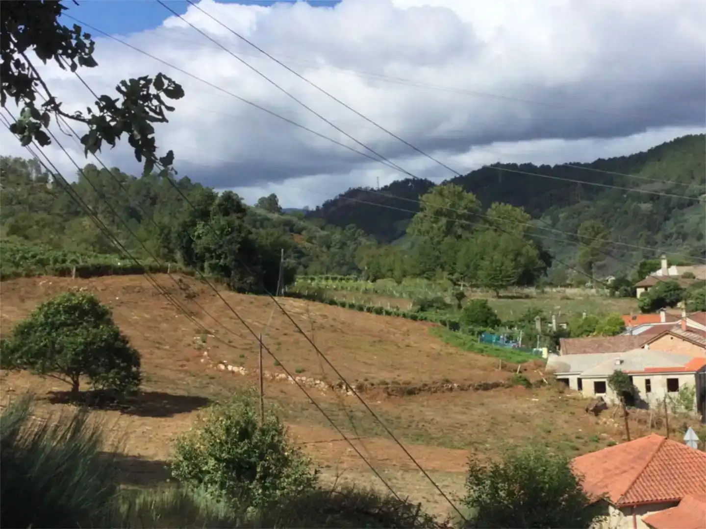 Finca rústica en venda en Castrelo de Miño amb Traster