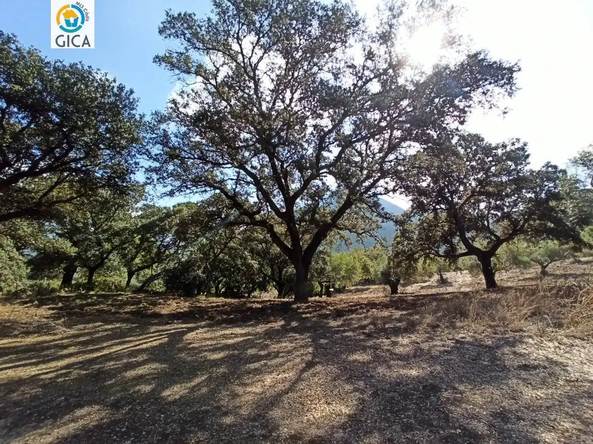 Casa rústica en venda a El Bosque, imagen 27
