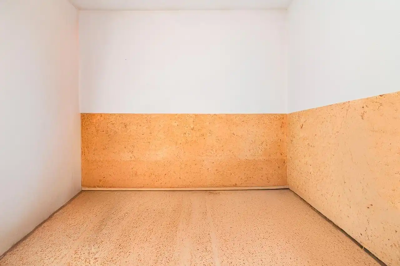 Chalet con piscina en venta en Avenida VINYA NOVA, imagen 23
