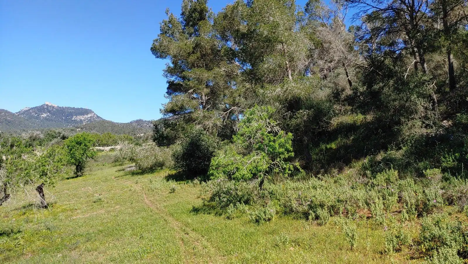 Residential land for sale in Polígono Polígono 33 Parcela 436, imagen 17