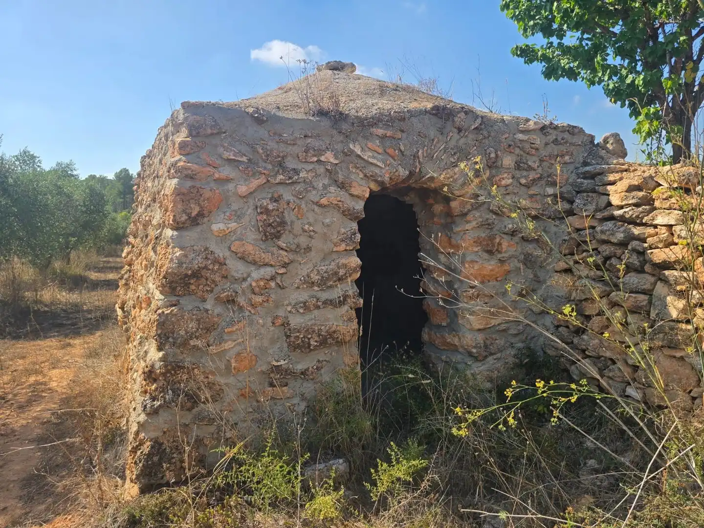 Terreno rústico en venta en Montferri, imagen 2