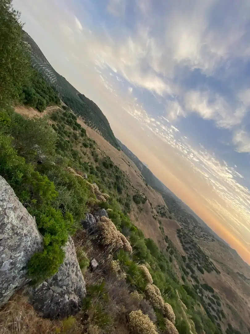 Rural land for sale in Morón de la Frontera, imagen 7