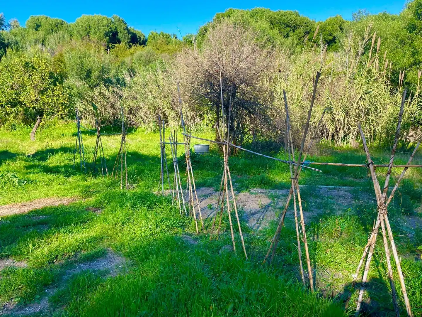Garden of Houses for sale in La Línea de la Concepción