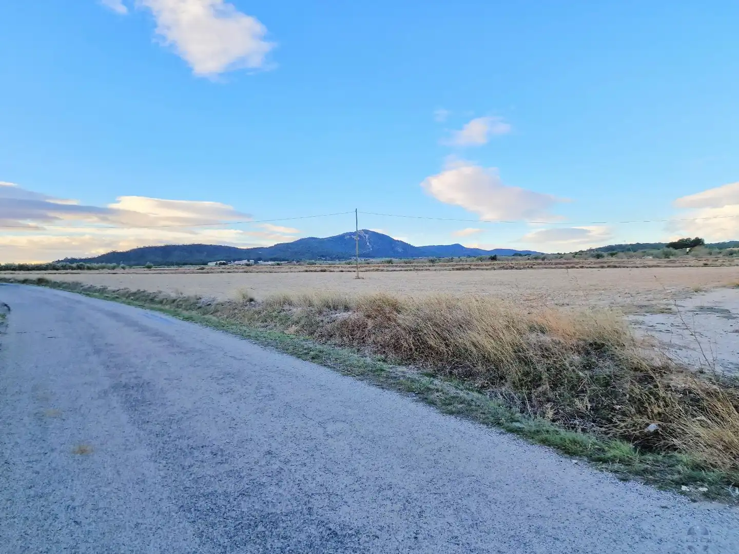 Terreni e lotti in vendita a Monóvar  / Monòver, imagen 4