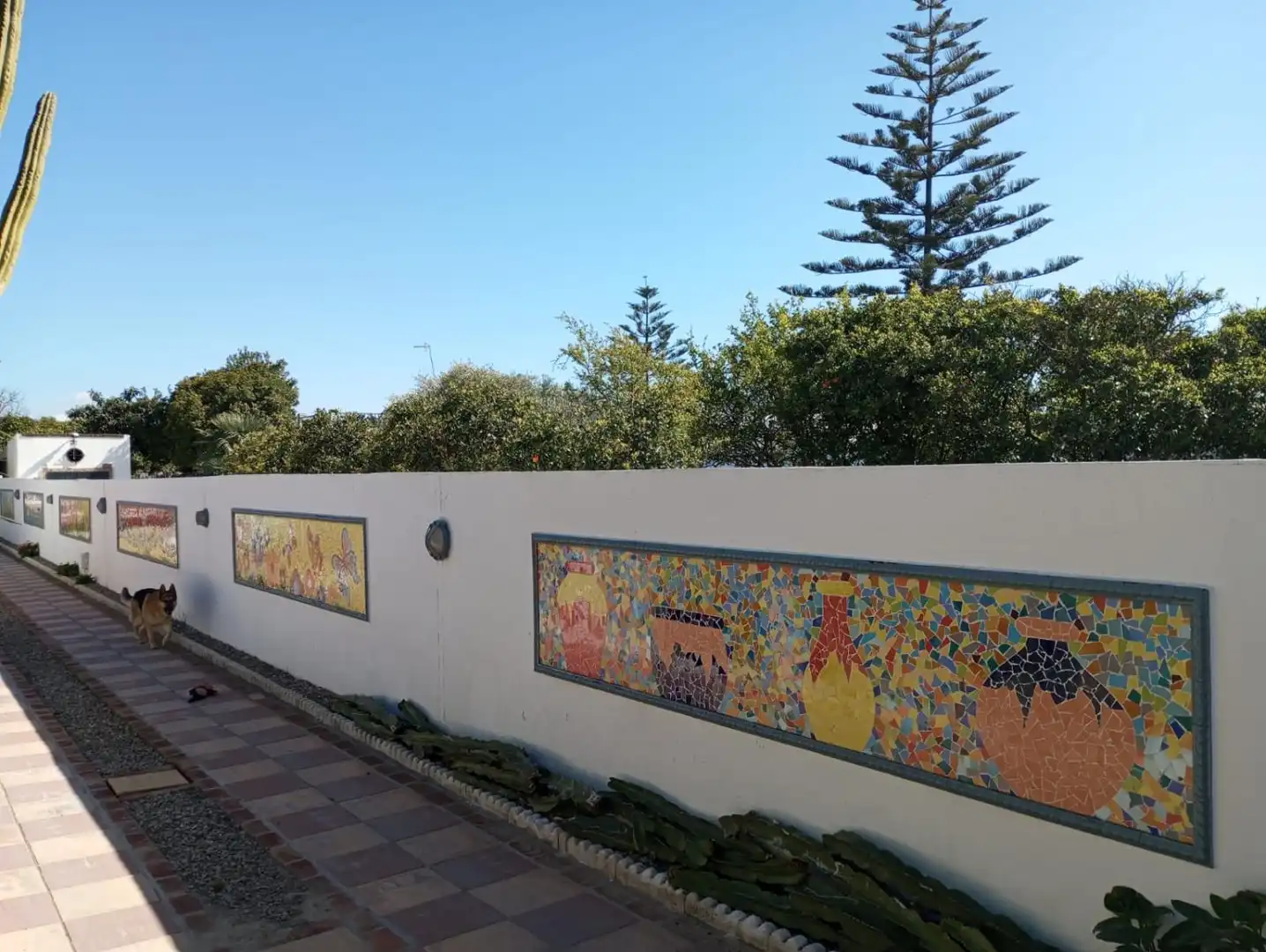 Villa zum Verkauf in La Jara, imagen 4
