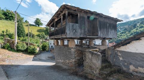 Foto 2 de Finca rústica en venda a Cangas del Narcea, Asturias