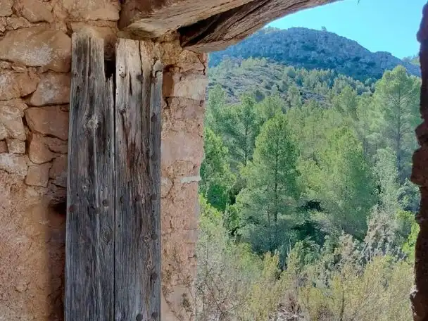 Jardín de Terreno en venta en Tivissa
