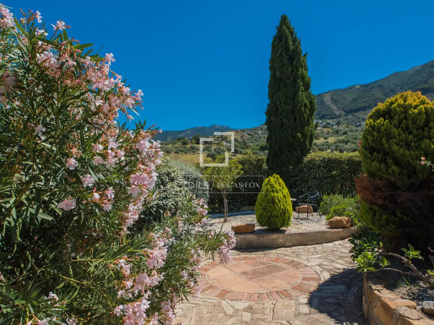 Casa rustica con terrazza in vendita a Alcaucín, imagen 7