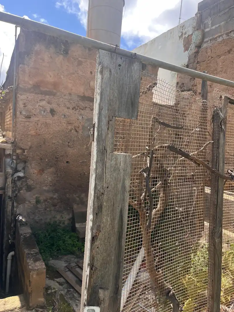 Jardí de Casa o xalet en venda en Las Palmas de Gran Canaria